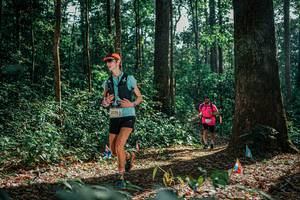 BIB: 
                            <button type="button" onclick="openModal(26080092)" class="btn btn-primary btn-sm float-right btn-popup" data-toggle="modal" data-target=".modal-high-quality">
                        <i class="fas fa-shopping-cart"></i> Add to Cart
                    </button>
                                            <button type="button" onclick="isThisMe(26080092, true)" class="btn btn-success btn-sm float-right btn-popup btn-isme hidden" data-toggle="tooltip" data-placement="bottom" title="นี่คือรูปของคุณใช่ไหม คลิกที่นี่เพื่อเอาเข้าอัลบั้ม">
                        <i class="fas fa-plus"></i> Add to album
                    </button>
                    <button type="button" onclick="isThisMe(26080092, false)" class="btn btn-warning btn-sm float-right btn-popup btn-isnotme hidden">
                        <i class="fas fa-ban"></i> Remove from album
                    </button>